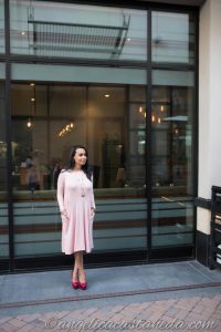 Blush Nursing Dress